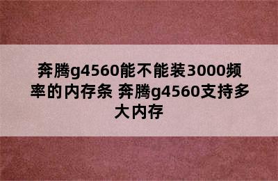 奔腾g4560能不能装3000频率的内存条 奔腾g4560支持多大内存